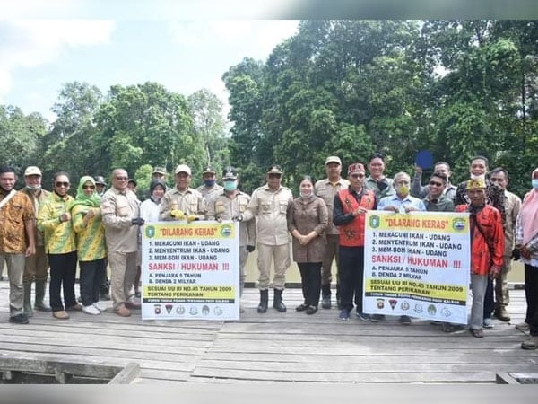 Lestarikan Sungai, Pemkab Ketapang dan PSP PEDAS Tebar 5000 Bibit Ikan Patin di Tumbang Titi 1