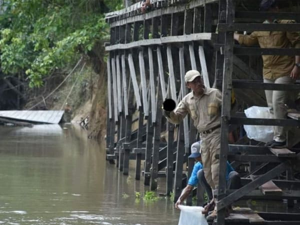 Lestarikan Sungai, Pemkab Ketapang dan PSP PEDAS Tebar 5000 Bibit Ikan Patin di Tumbang Titi 2