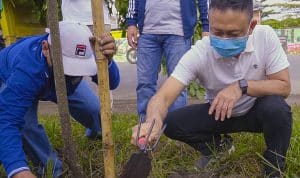 Wali Kota Pontianak Tanam Pohon CSR Bank Kalbar di Jalan Sultan Hamid II 8