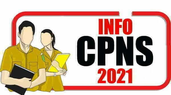 Besok Diumumkan, Ini Cara Lengkap Cek Hasil Seleksi Administrasi CPNS 2021 1