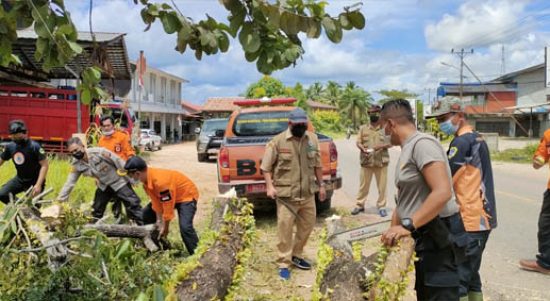 Polsek Nanga Pinoh dan BPBD Sinergi Bersihkan Pohon Tumbang