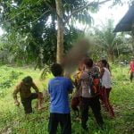 Seorang Petani di Tumbang Titi Ketapang Ditemukan Tewas Tergantung di Pohon Jengkol