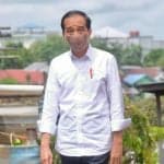Jokowi Perintahkan KLHK dan Korporasi Besar Lakukan Persemaian 14