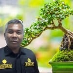 Bupati Ketapang Martin Rantan dan ilustrasi bonsai