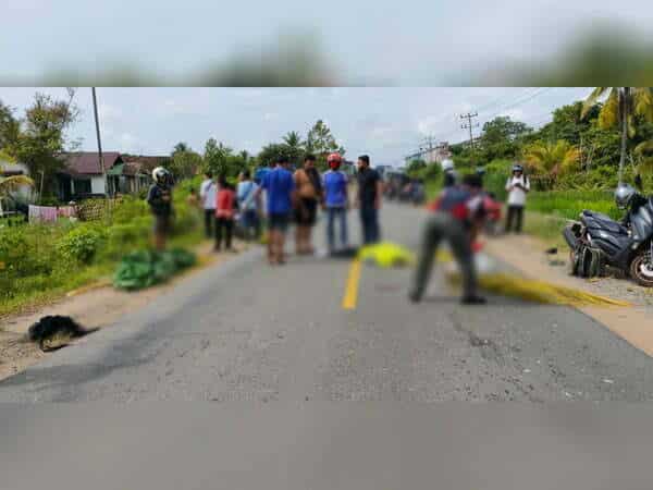 Kecelakaan Maut Motor VS Truk di Ketapang-Siduk, Dua Gadis Meninggal di Tempat