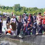 Wahyudi Hidayat dan Lasarus Panen Raya Ikan Konsumsi di Danau Keliling