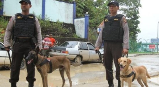 Patroli Perbatasan RI-Malaysia, Polda Kalbar Pakai Anjing Pelacak 3
