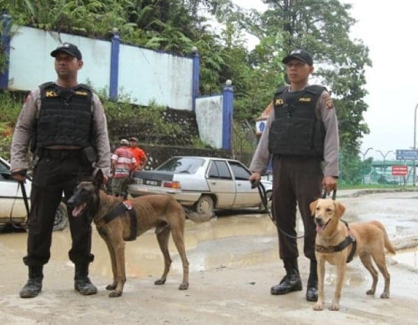 Patroli Perbatasan RI-Malaysia, Polda Kalbar Pakai Anjing Pelacak 1