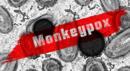 Cacar monyet atau monkeypox. (Foto: Istimewa)
