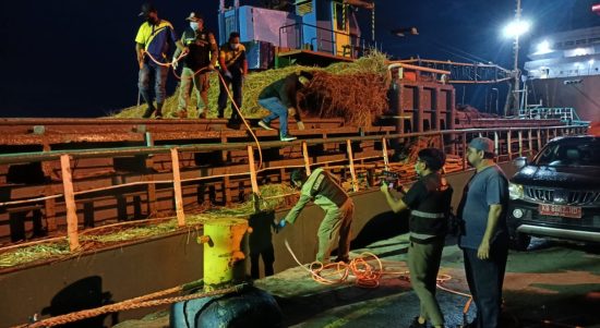 Aktivitas bongkar muat 1800 ekor kambing asal Provinsi Nusa Tenggara Timur (NTT) di Dermaga 03 Pelabuhan Dwikora Pontianak, Sabtu (09/07/2022) . (Foto: Istimewa)