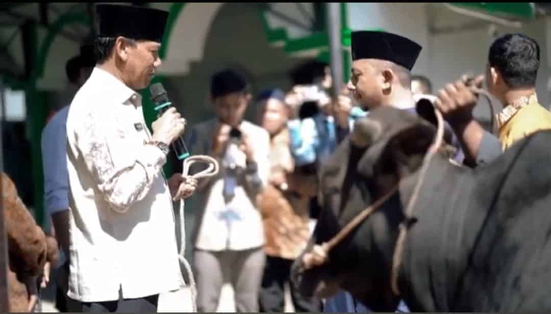 Wakil Bupati Kabupaten Ketapang, Farhan saat menyerahkan hewan kurban ke saah satu pengurus masjid di wilayah Kabupaten Ketapang. (Foto: Istimewa)