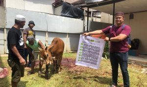 Dompet Ummat melalui program Tebar Faedah Kurban (TFK) siap menyalurkan hingga 80 hewan kurban ke 13 kabupaten dan kota di Kalimantan Barat. (Foto: Istimewa)