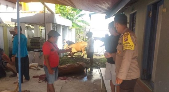 Satuan Tugas Operasi Aman Nusa Pencegahan PMK, melaksanakan pemantauan pelaksanaan pemotongan hewan kurban di beberapa lokasi pemotongan hewan di wilayah Kecamatan Delta Pawan, Minggu (10/07/2022). (Foto: Istimewa)