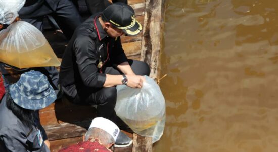 Bupati Kapuas Hulu, Fransiskus Diaan saat melakukan restocking (penyetokan ulang) ikan arwana di Danau Lindung Empangau, Desa Empangau, Kecamatan Bunut Hilir, Kabupaten Kapuas Hulu, Sabtu (23/07/2022). (Foto: Istimewa)