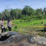 Potongan lempengan besi yang diduga berasal dari serpihan roket milik China ditemukan di perkebunan sawit milik warga Desa Pengadang, Kecamatan Sekayam, Kabupaten Sanggau, Senin (01/08/2022). (Foto: Istimewa)