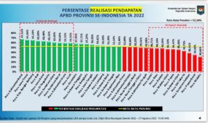 Data persentase pendapatan APBD provinsi se-nasional tahun 2022. (Foto: Istimewa)