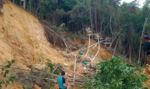 Proses pencarian terhadap belasan pekerja PETI yang tertimbun di Dusun Sencepu, Desa Kinande, Kecamatan Lembah Bawang terus dilakukan. (Foto: Istimewa)