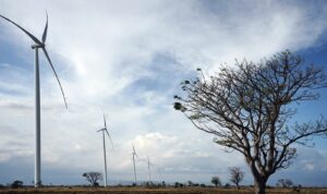Pembangkit Listrik Tenaga Bayu (PLTB) Tanah Laut, Kalimantan Selatan, berkapasitas 70 MW. (Foto: Istimewa)