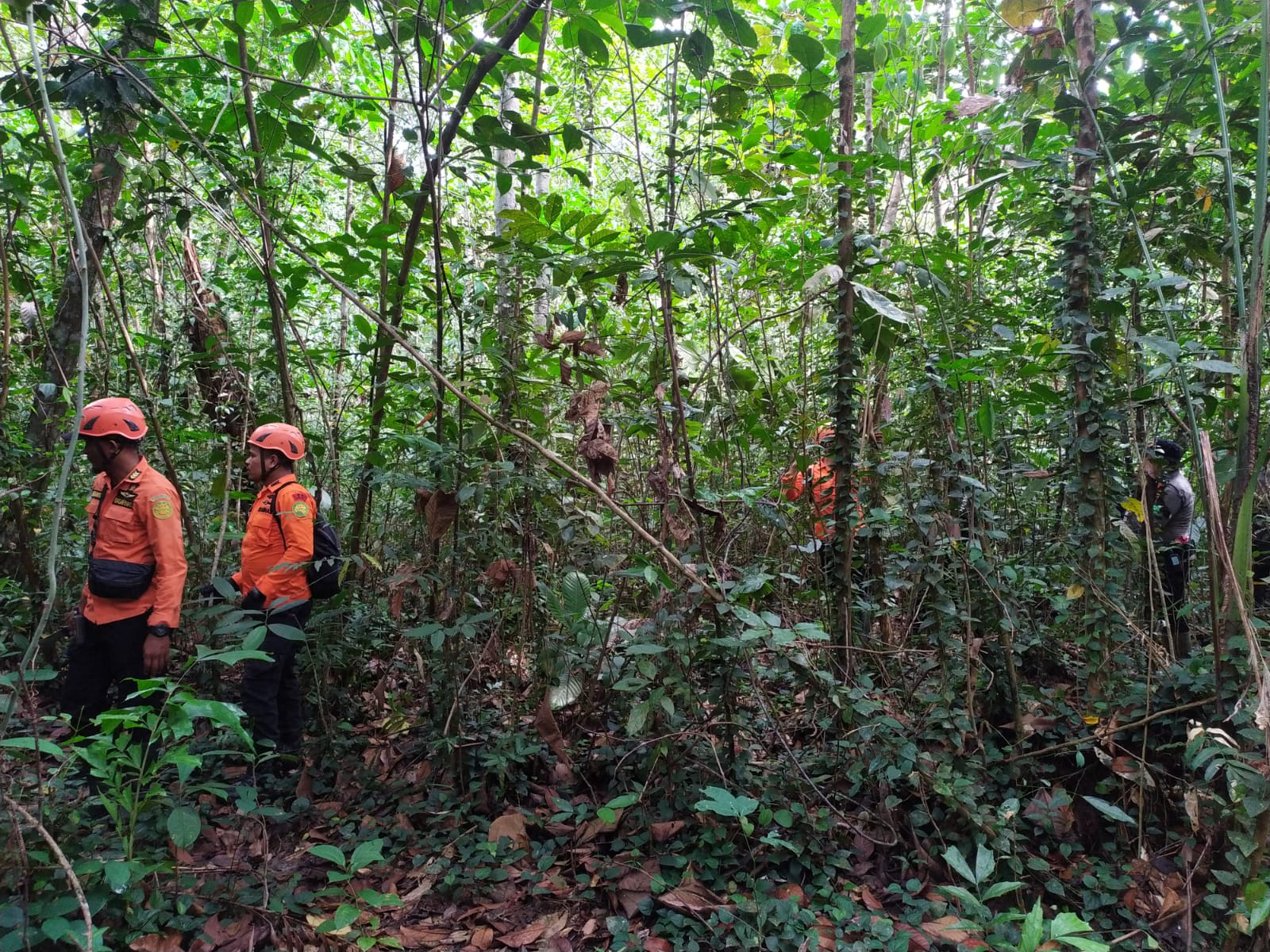 Tim rescue melakukan penelusuran di lokasi hutan tempat korban atas nama Misgiyem mencari kayu bakar. (Foto: Jauhari)
