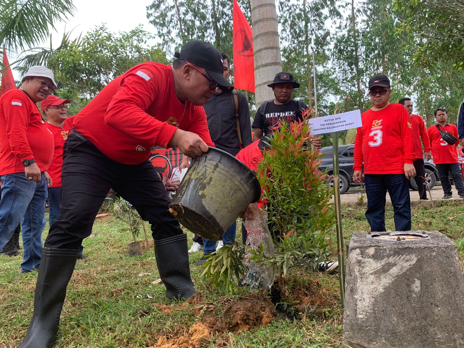 Bendahara DPD PDI Perjuangan Kalbar, Sujiwo menanam bibit pohon kuncup merah di Taman Teratai Kabuaten Mempawah, Sabtu (28/01/2023) pagi. (Foto: Jauhari)