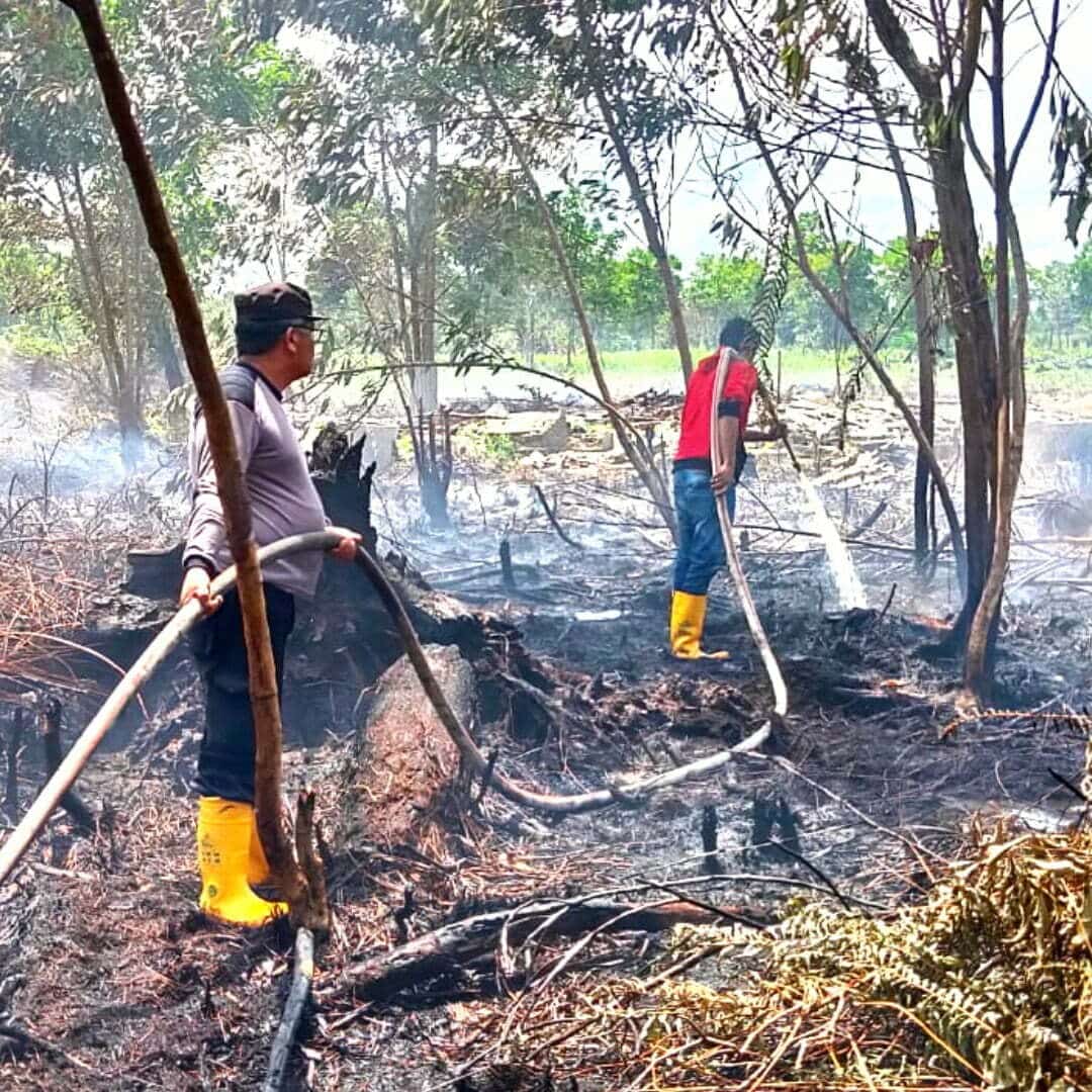 Petugas pemadam kebakaran gabungan berupaya memadamkan api di lahan yang terbakar di Dusun Bunga Raya, RT 11 RW 07, Desa Sungai Raya Dalam, Kecamatan Sungai Raya Dalam, Kabupaten Kubu Raya. (Foto: Jauhari)