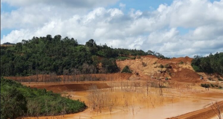 Belasan hektare lahan warga di Meliau yang diduga dicaplok oleh PT PPC. (Foto: Jauhari)