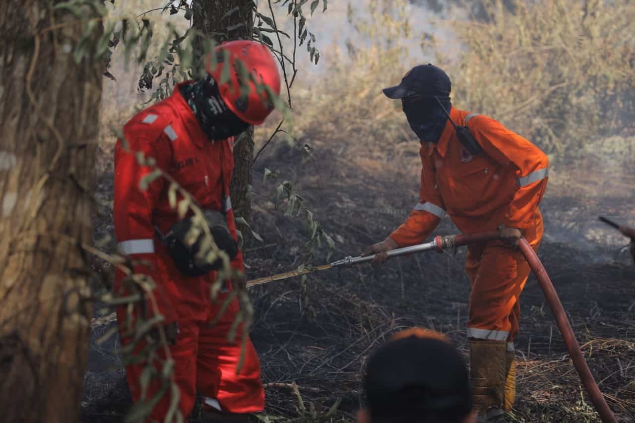 Petugas tengah berjibaku memadamkan lahan yang terbakar. (Foto: Prokopim/Kominfo For KalbarOnline.com)