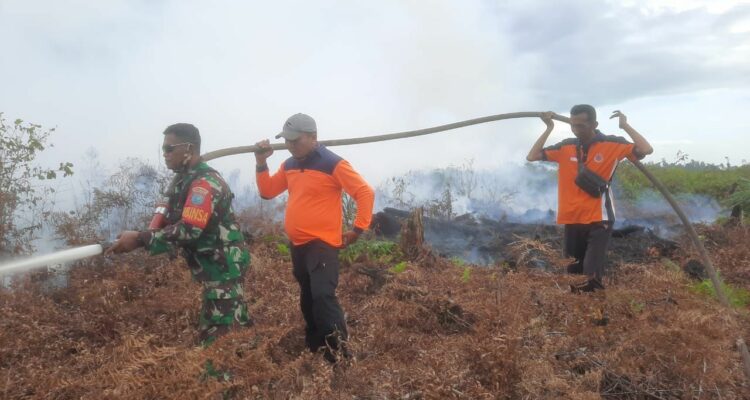 Tim gabungan berupaya melakukan pemadaman di lahan terbakar di Dusun Suap, Desa Paser, Kecamatan Mempawah Hilir, Kabupaten Mempawah. (Foto: Jauhari)