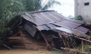 Salah satu rumah warga di Kabupaten Bengkayang rusak berat akibat bencana banjir. (Foto: Jauhari)