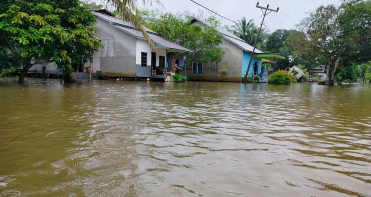 Musibah banjir melanda Desa Sempurna, Kecamatan Laur, Kabupaten Ketapang. (Foto: Adi LC)