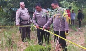 Area Tempat Kejadian Perkara (TKP) penemuan mayat bayi laki-laki di Jalan Lingkar Mupa, Kecamatan Putussibau Utara. (Foto: Ishaq)