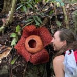 Eksplorasi Bunga Bangkai, Rombongan Jurnalis Kalbar Ekspedisi ke Gunung Gading Sarawak 12