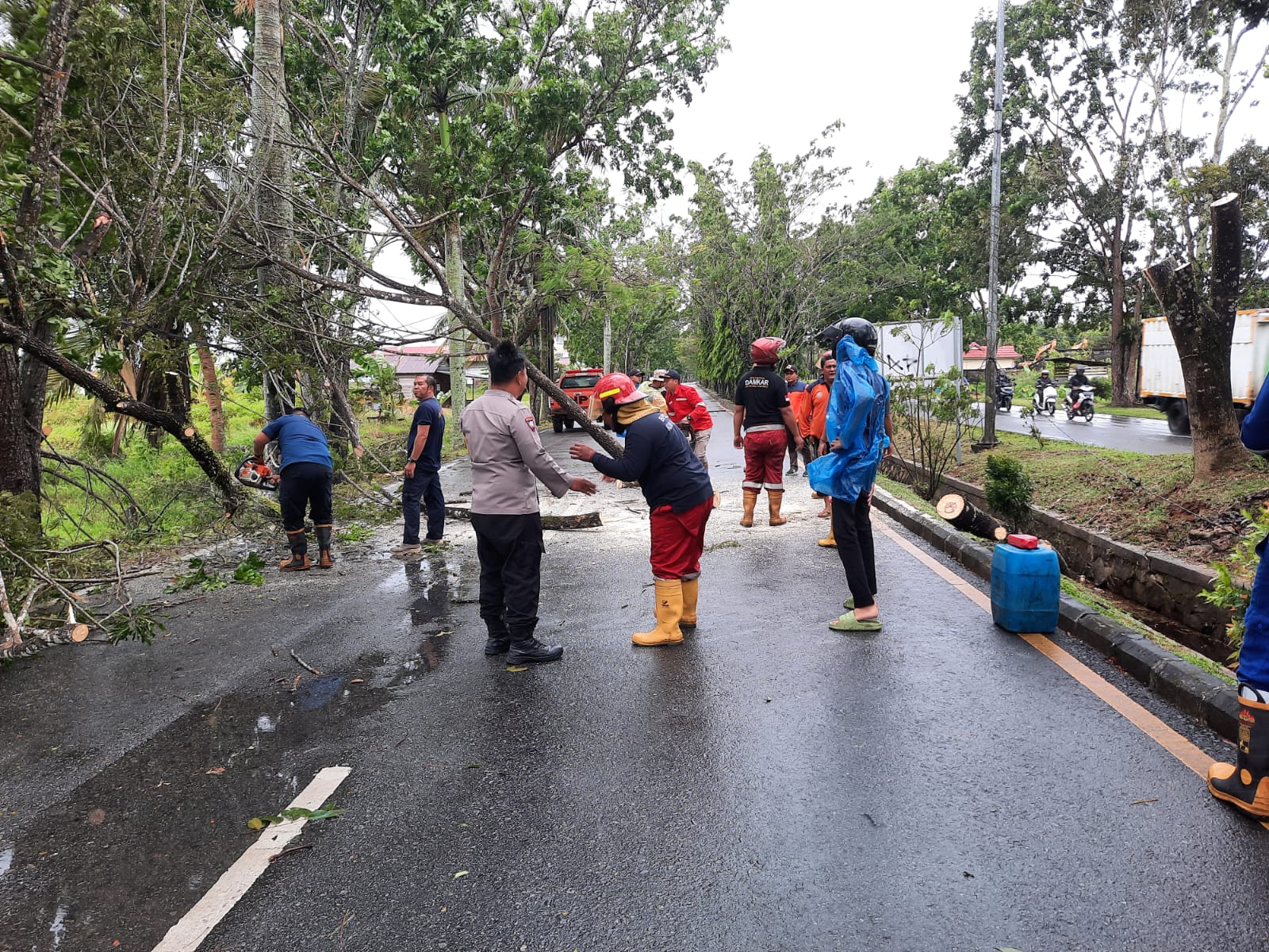 Pembersihan pohon tumbang di ruas Jalan Arteri Supadio, Kecamatan Sungai Raya, Kabupaten Kubu Raya, Jumat (07/04/23) sore. (Foto: Humas Polres Kubu Raya)