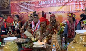 Tradisi Ngampar Bide, Pekan Gawai Dayak ke-37. (Foto: Indri)