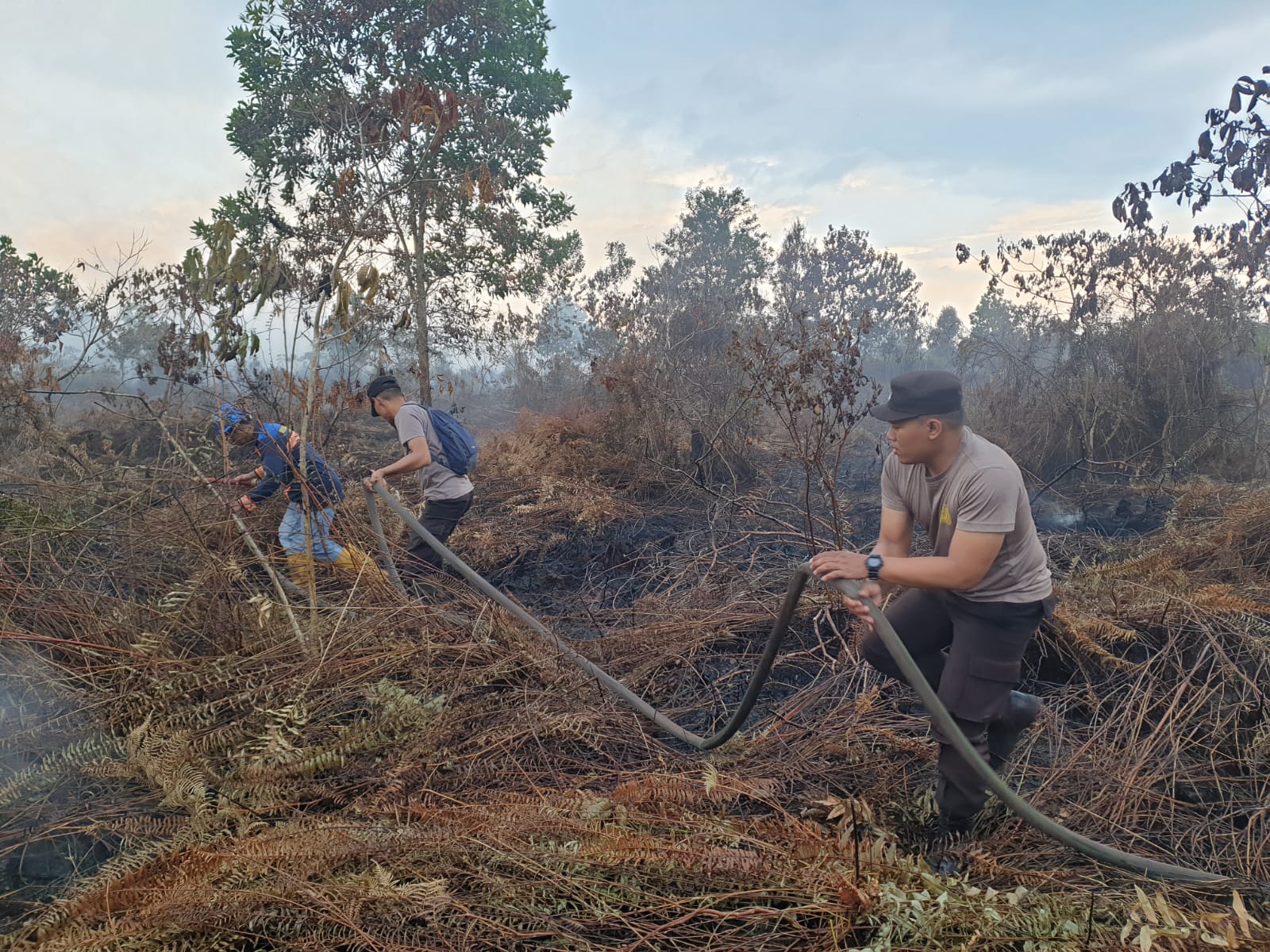 Upaya pemadaman kebakaran lahan gambut oleh tim gabungan di wilayah Dusun Mulyorejo, Desa Limbung, Kecamatan Sungai Raya, Kabupaten Kubu Raya, Selasa (30/05/2023). (Foto: Polres Kubu Raya)