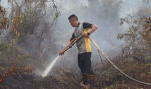Kapolres Kubu Raya, AKBP Arief Hidayat memimpin langsung upaya pemadaman kebakaran lahan gambut di wilayah Dusun Mulyorejo, Desa Limbung, Kecamatan Sungai Raya, Kabupaten Kubu Raya, Selasa (30/05/2023). (Foto: Polres Kubu Raya)