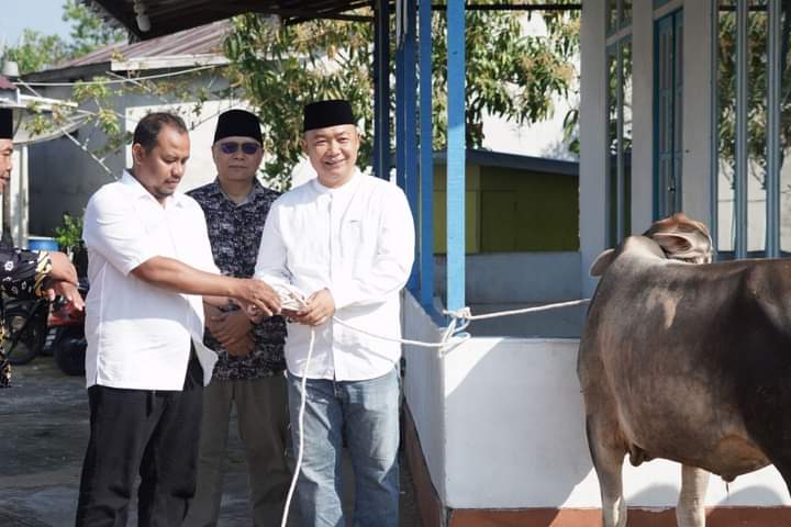 Momen Sekda Ketapang, Alexander Wilyo menyerahkan hewan kurban ke Surau Darussalam Delta Pawan, Rabu (28/06/2023). (Foto: Adi LC)