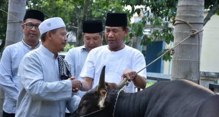 Wakil Bupati Ketapang, Farhan menyerahkan hewan kurban secara simbolis dari Pemerintah Kabupaten Ketapang yang terdiri dari 15 ekor sapi, dalam rangka hari raya Idul Adha 1444 Hijriah. (Foto: Adi LC)