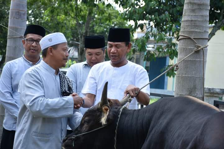 Wakil Bupati Ketapang, Farhan menyerahkan hewan kurban secara simbolis dari Pemerintah Kabupaten Ketapang yang terdiri dari 15 ekor sapi, dalam rangka hari raya Idul Adha 1444 Hijriah. (Foto: Adi LC)