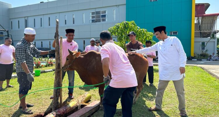 UIP3B Kalimantan melakukan penyembelihan hewan kurban di Kantor UP3B Sistem Kalbar, Jalan Karya Baru, Kota Pontianak. (Foto: PLN)
