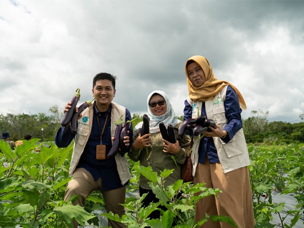 Program Elektrifikasi Pertanian PLN Raih Penghargaan Nusantara CSR Award