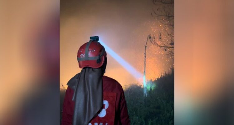 Kadisdikbud Kalbar, Rita Hastarita ikut memadamkan api karhutla di kawasan dekat SMAN 4 Kubu Raya. (Foto: Jau/KalbarOnline.com)