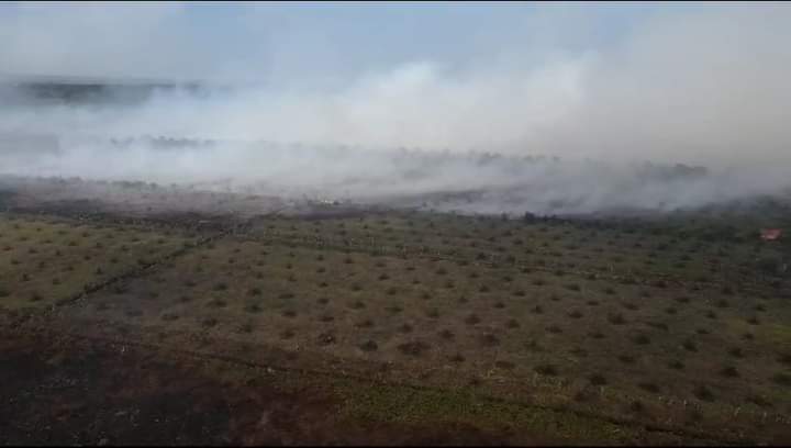 Salah satu lahan di sekitar perkebunan sawit di Ketapang yang terbakar. (Foto: Adi LC)