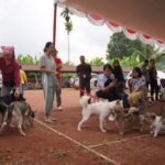 Bupati Kapuas Hulu, Fransiskus Diaan menghadiri vaksinasi rabies di Dinas Pertanian dan Perkebunan Kabupaten Kapuas Hulu. (Foto: Ishaq)