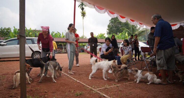 Bupati Kapuas Hulu, Fransiskus Diaan menghadiri vaksinasi rabies di Dinas Pertanian dan Perkebunan Kabupaten Kapuas Hulu. (Foto: Ishaq)