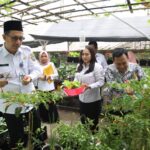 Sekretaris Daerah Kota Pontianak, Mulyadi melakukan penilain tanaman sayur-sayuran dalam rangka Gerakan Menanam Sayur yang telah dicanangkan sebelumnya. (Foto: Kominfo Pontianak)