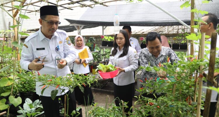 Sekretaris Daerah Kota Pontianak, Mulyadi melakukan penilain tanaman sayur-sayuran dalam rangka Gerakan Menanam Sayur yang telah dicanangkan sebelumnya. (Foto: Kominfo Pontianak)