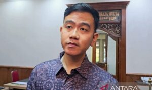 Gibran-Jokowi Tak Ambil Pusing Setelah Dilaporkan ke KPK Dugaan Kolusi-Nepotisme 6