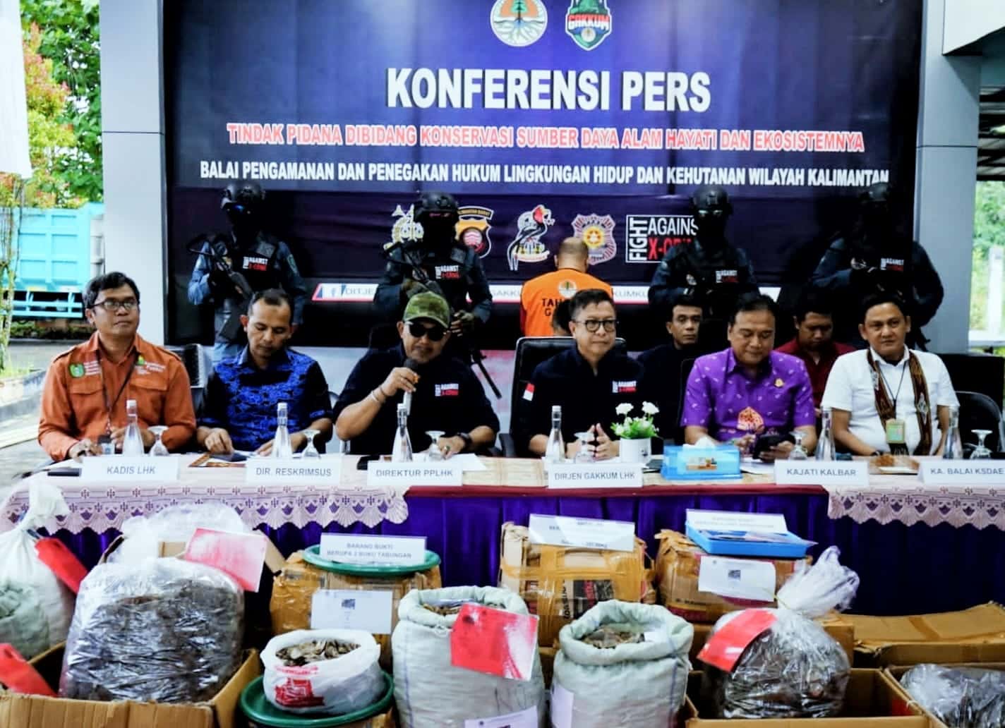 Gakkum KLHK memperlihatkan ratusan kilogram sisik Trenggiling yang akan dijual oleh tersangka BY dan AN pada saat konferensi pers. (Foto: Indri/KalbarOnline.com)