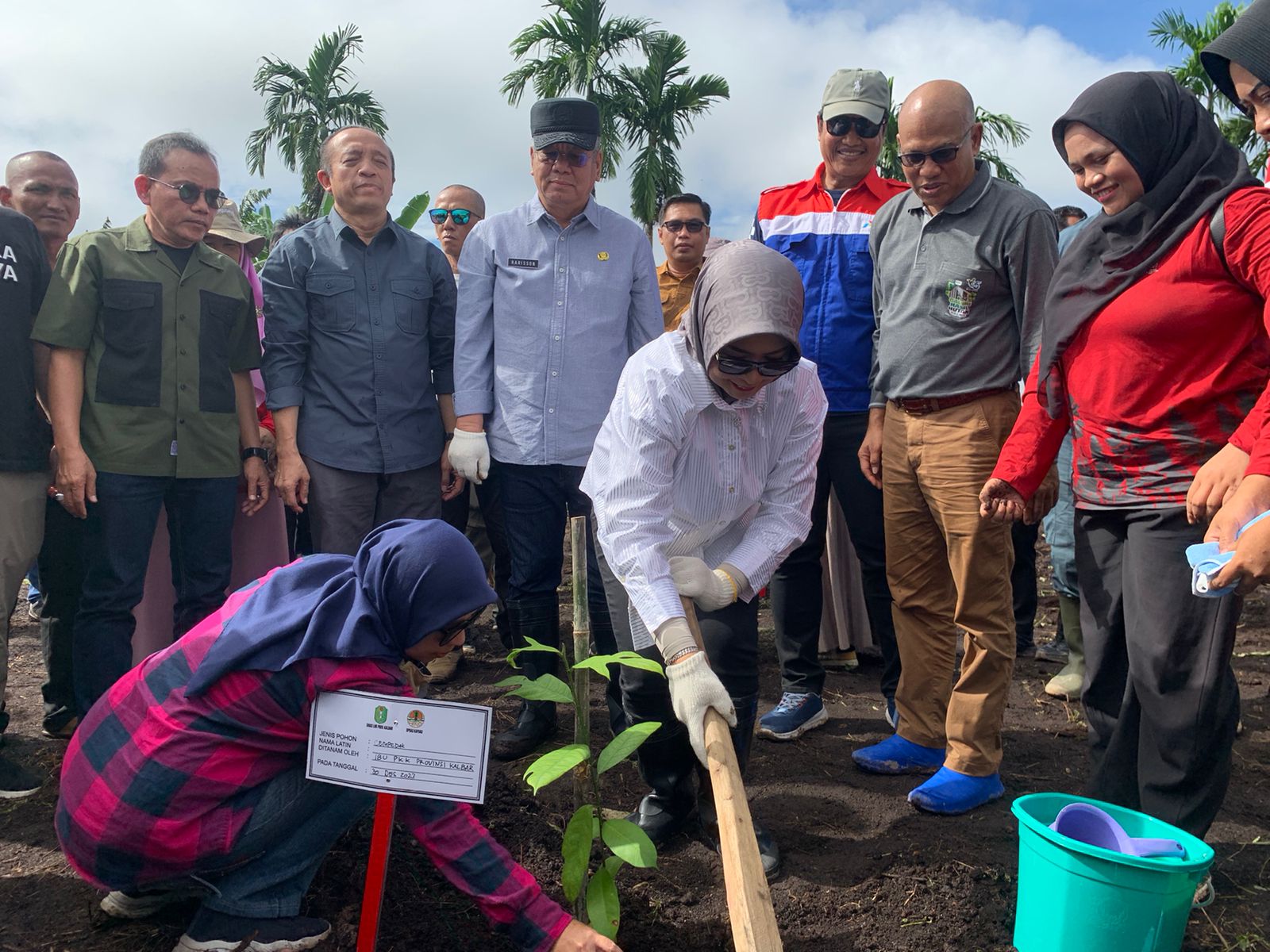 Kegiatan penanaman pohon serentak se-Indonesia di Kalbar ini dilaksanakan di lokasi Kebun Bibit Rakyat Indonesia, dengan diikuti sekitar 1.000 peserta. (Foto: Jauhari)